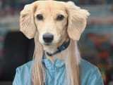 woof