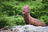 Mink Man
