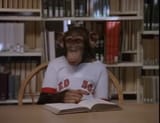Red Sox Monke