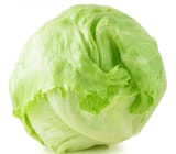 Lettuce