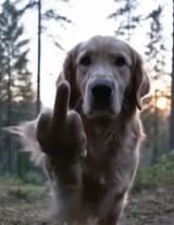 4901