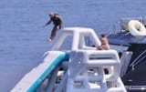 Roganslide