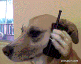 woof