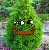 pine tree pepe frog