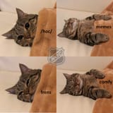 1730397071070133