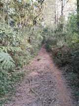 IMG_20250720_162041961
