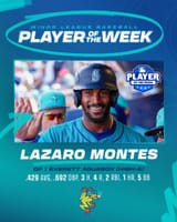 frogniggaotw lazaro