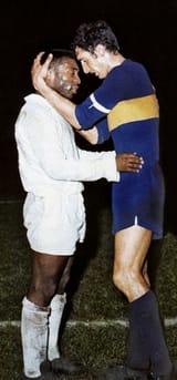 pele-rattin &#039;63