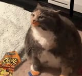 1752930097012463