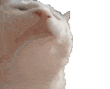 1738363422152847