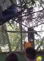 This Parrot 🦜🔥 #edm #bass #dance #music #festival #rave #dubstep #dj #vibes #shorts #short #house - Wage War On Mediocrity (360p, h264)1_thumb.jpg