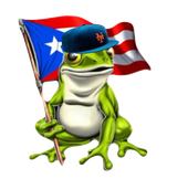Boricua Frog