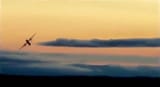 richard-russels-plane-3793087161