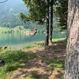 marlen_swing