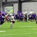 Vikings_20250723__1948156179449831849_2_19481554406189916161_thumb.jpg