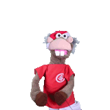 cavalinho-do-Internacional (1)