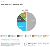 20180910_metro_Frey_census-datacharts-revised-Fig1