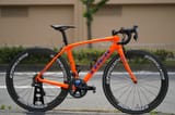 TREK-DomaneSLR-1-1
