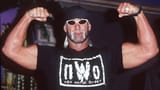 hulkster
