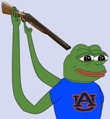 Auburn fan experience