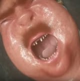 facesat doll face