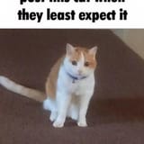 file_00000000bef061fd8b0bd8b35756d0e1