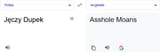 Screenshot 2025-07-25 at 12-37-06 translate - Szukaj w Google