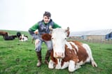 Arnaud-De-Lie-vacas