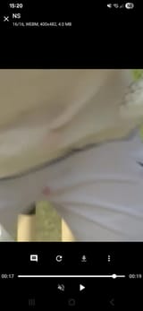 1753453288845