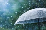 istockphoto-1257951