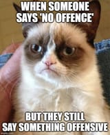 offence cat