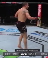 whittaker hop