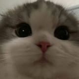 1744244777502716