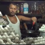 surly egg king