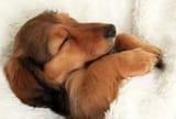 sleep
