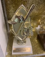 mlb award