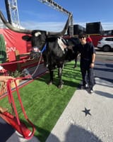 yuki bull