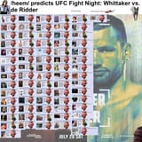 UFC Fight Night Whittaker vs. de Ridder final goof