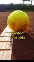 2tennisrackets__2025-07-26T194750.000Z_thumb.jpg