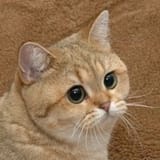MIqgcHqd_400x400
