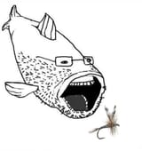 Wojak fly fishy