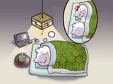 Sleep dream