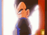 vegeta-time-chamber