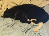 IMG_20241227_034631