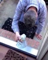 Paypig