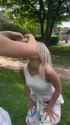 1725328956927169_thumb.jpg