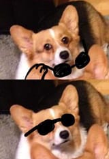 1689414079506301