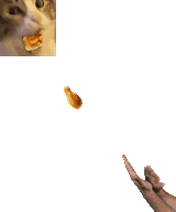 6P4G4_O1GI095KVU3C9
