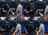 Volpe Corked Bat