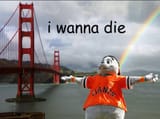 jhemm855j5e91